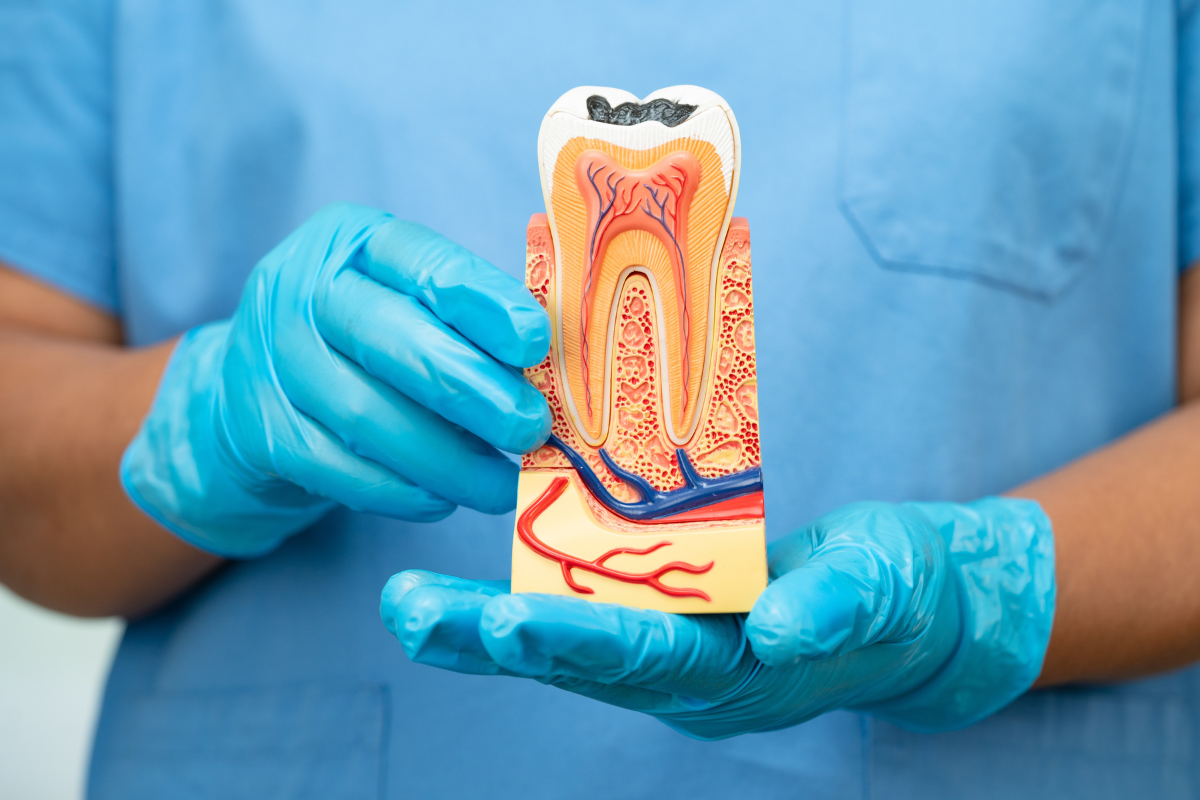 Dental Implants Complete Guide to Procedure, Benefits, Risks, and Longevity Dental Implants